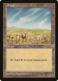 Plains (Buffalo)