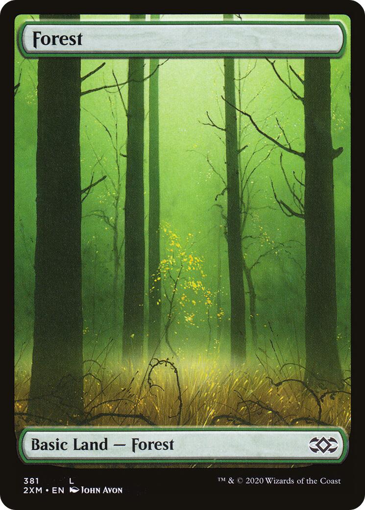 Forest (381)