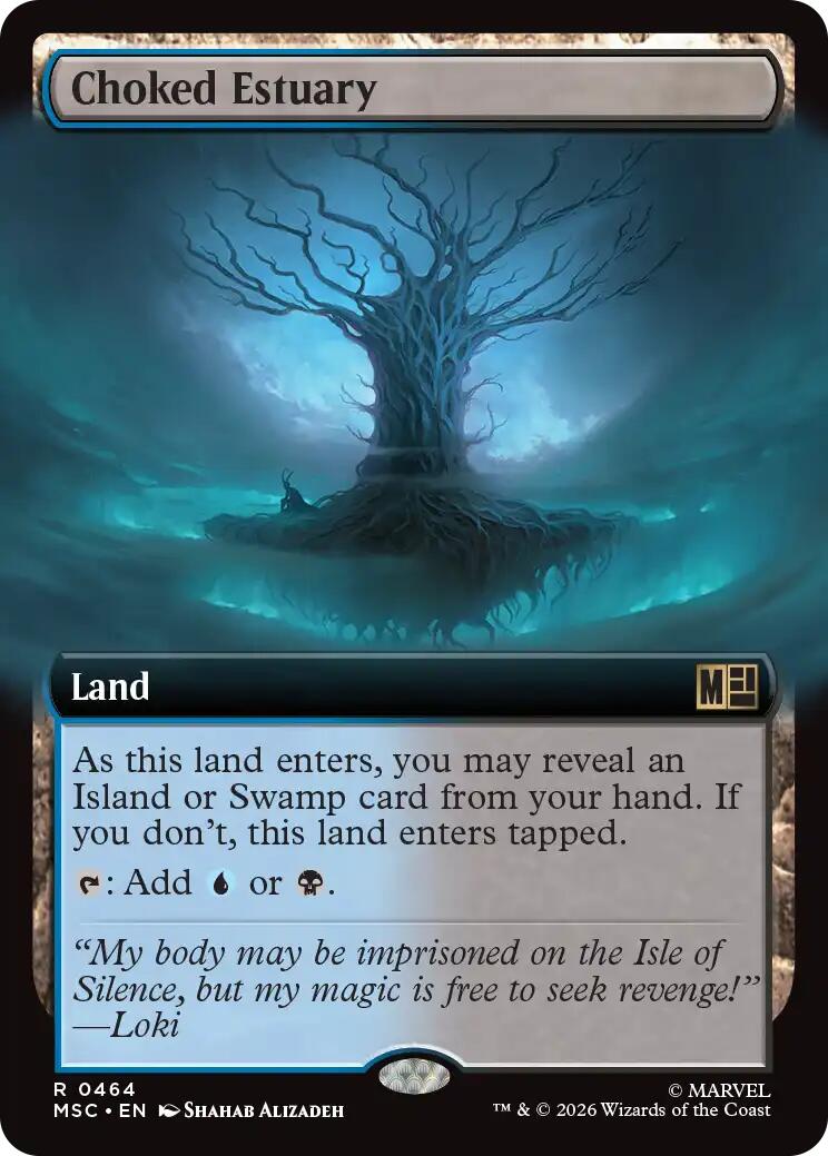 Choked Estuary (Extended Art)