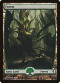 Forest (247) - Full Art